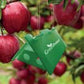 GreenProtect Æbleviklerfælde