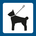 Piktrogram Hund i snor - Sikkerhedsgiganten