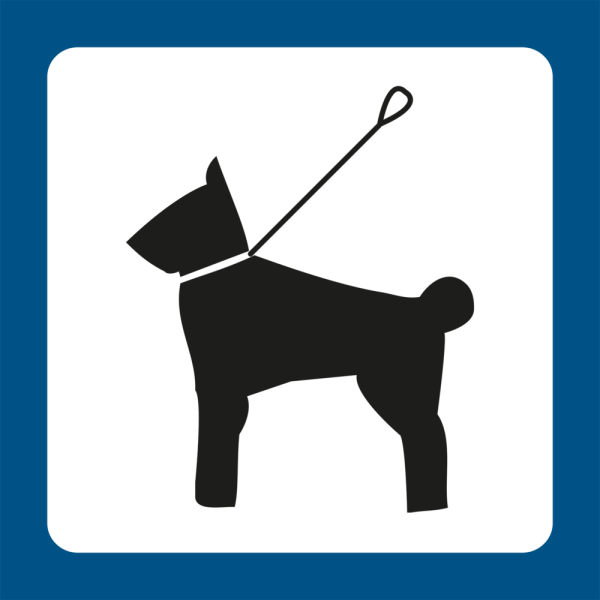 Piktrogram Hund i snor - Sikkerhedsgiganten