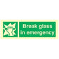 Sign IMO Break glass in emergency 102020